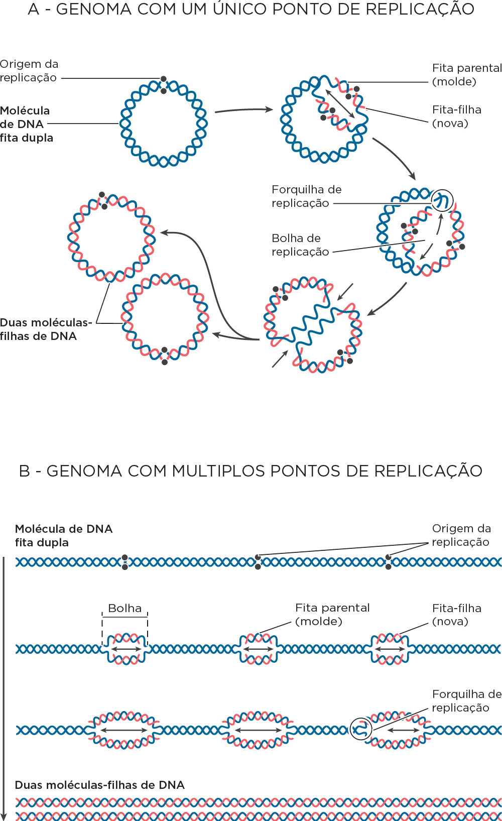 Especializa O Em Ensino De Biologia