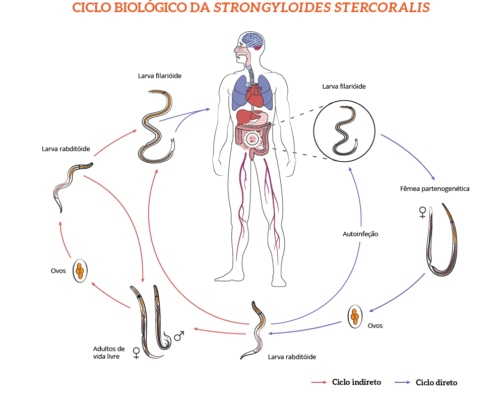 Especializa O Em Ensino De Biologia