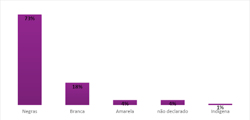 Figura 2 - Mulheres vítimas de violência doméstica por cor e etnia em 2021. Fonte: Elaborada pela Equipe de Trabalho do Ceam, 2022.