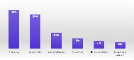 Figura 3 - Mulheres vítimas de violência doméstica por renda 2021. Fonte: Elaborada pela Equipe de Trabalho do Ceam, 2022.